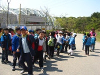 격동교육활동<격동앨범<학교소식<격동초등학교 격동초등학교