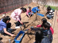 2009.7.29.~2017.2.28<그시절추억한컷<서부역사관<학교소개<서부초등학교 서부초등학교