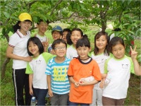 전학년도행사앨범<학교소식<두서초등학교 두서초등학교