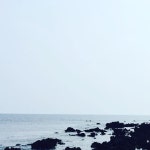 꿈꾸는 노마드 The Dreaming Nomad | #올레#올레7코스#올레7#꿈꾸는노마드 펜션에서 3분... Instagram의 꿈꾸는 노마드 The Dreaming Nomad님... 