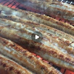 영천민물장어 직판장 | #영천민물장어#민물장어#맛집#장어#장흥#장흥맛집#목포맛집#순천맛집#나주맛집#여수맛집#자포니카#국내산 | Instagram... 