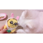 @mallangcake Instagram mallangcake images, mallangcake Instagram @mallangcake videos