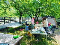 @smj6690 Instagram smj6690 images, smj6690 Instagram @smj6690 videos