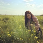 유채꽃이 만발한 대저생태공원 on Instagram