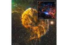 What spawned the Jellyfish Nebula?