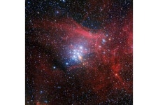 Chandra observations provide insights about young stellar cluster NGC 3293