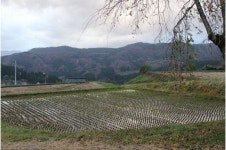 Disaster leaves unexpected impact on rural Japans marriage migrants