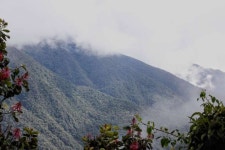 Why the world should care about the future of the Amazon