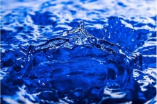 But what about flow? The effect of hydrodynamics on liquid-liquid transitions