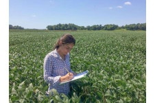 Biological control agents can protect soybeans from sudden death syndrome