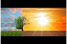 Meeting biodiversity, climate, and water objectives through integrated strategies
