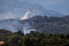 Ecological disaster feared as Greece battles forest fire
