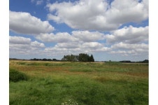 Years later, restored wetlands remain a shadow of their old selves