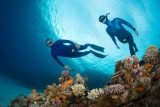 Desalination could give the Middle East water without damaging marine life. But it must be managed carefully