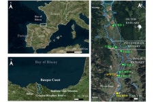 Phytoplankton community shifts after wastewater treatment plant closure