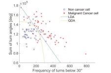 Scientists can tell healthy and cancerous cells apart by how they move