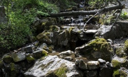 Artificial sweeteners in groundwater indicate contamination from septic systems