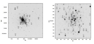 Photometric observations detect 28 new variable stars in NGC 4147