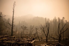 Fire damage to US wine region laid bare as latest death confirmed