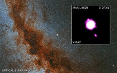 MAXI J1820+070: Black hole outburst caught on video