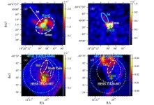 X-ray observations investigate radio pulsar PSR J1420-6048 and its nebula