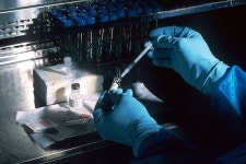 Engineers design programmable RNA vaccines: Tests in mice show they work against Ebola, influenza, and common parasite