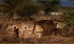 Being smart about illegal wildlife trade—why local communities matter