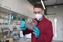 Spider venom for therapeutics and bioinsecticides