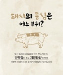 텐바이텐 10X10 : [헬스앤뷰티]머슬포크 등심 20팩