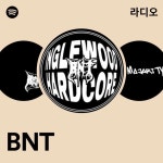 BNT | Spotify BNT