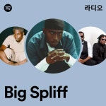 Big Spliff 라디오 - playlist by Spotify | Spotify Big Spliff 라디오
