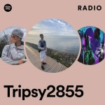 Tripsy2855 | Spotify Tripsy2855