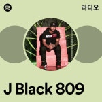 J Black 809 라디오 - playlist by Spotify | Spotify J Black 809 라디오