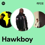 Hawkboy 라디오 - playlist by Spotify | Spotify Hawkboy 라디오