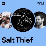 Salt Thief 라디오 - playlist by Spotify | Spotify Salt Thief 라디오