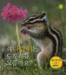 > 상세정보 : 국립세종도서관 왜 다람쥐는 도토리를 모을까요? | 국립세종도서관