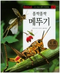 > 상세정보 : 국립세종도서관 (폴짝폴짝) 메뚜기 | 국립세종도서관