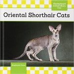 > 상세정보 : 국립세종도서관 Dewey : theres a cat in the library! | 국립세종도서관