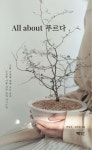 국립세종도서관