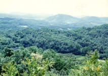 1995년 8월 18일 정관 김복진의 무덤 앞에서 촬영한 사진