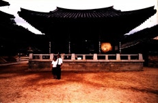 1991년 《금강에서의 국제자연미술전》 국외 참여 작가 문화 답사 현장 사진