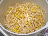 초간단 콩나물밥/냉국 | 새미네부엌 플랫폼 초간단 콩나물밥/냉국