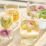 알록달록 허브과일꽃 얼음 | 새미네부엌 플랫폼 알록달록 허브과일꽃 얼음