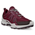 ECCO-ECCO 바이옴 씨-트레일 W GTX 803463-61424│삼성물산 온라인몰 SSF Shop ECCO 바이옴 씨-트레일 W GTX 803463-61424