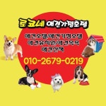 돌봐줄개 맡아줄개. 애견가정호텔 | 안전한 중고나라, NO.1 직거래 번개장터 돌봐줄개 맡아줄개. 애견가정호텔 | 번개장터
