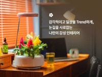 교원 웰스 – 서울디자인페스티벌
