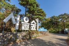 서울숲 포토스팟 10 | 서울숲 서울숲 포토스팟 10