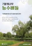 [이달의나무🌳] 능수버들 (Salix pseudolasiogyne H.Lév.) | 서울숲 [이달의나무🌳] 능수버들 (Salix pseudolasiogyne H.Lév.)