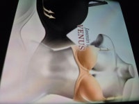 비너스 자스민 브라 JBR1163 : 다나와 가격비교 [다나와] 비너스 자스민 브라 JBR1163