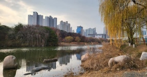 호수공원 - 세리에매니아